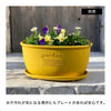gardens エコプレートオーバル パピエ 400.|s3
